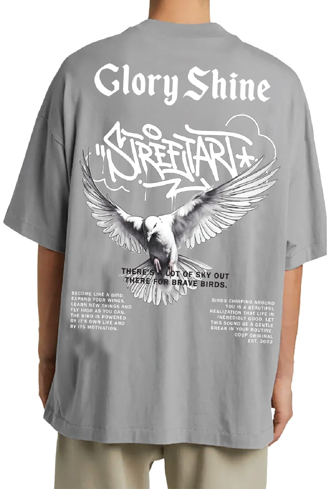 Coup - Glory Shine Oversize Printed T-Shirt - Image 2