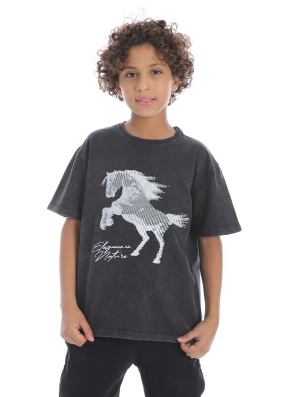 Boy Washed Grey Printed Loose Fit Half Sleeves T-Shirt