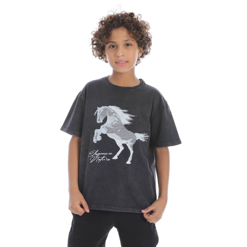Boy Washed Grey Printed Loose Fit Half Sleeves T-Shirt