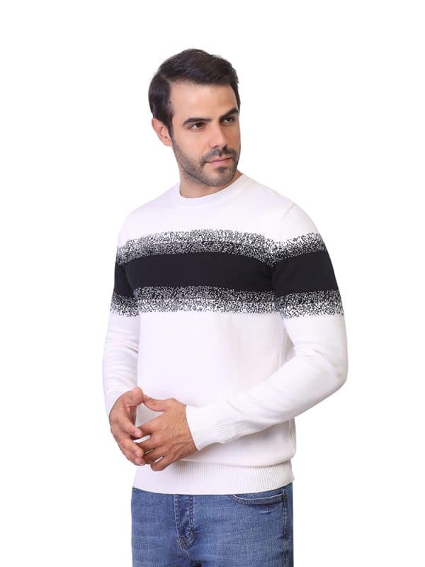 Coup - Crew Neck Two Color Men's Knitwear Sweater